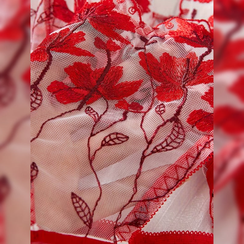 赤い花柄刺繍ディープVランジェリーセット セクシー＆エレガントデザイン